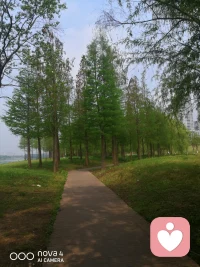 新的一天，不是重复昨天，而是修复昨天的机会。跌跌撞撞也没关系，只要方向没偏，慢一点也无妨。早安，赶路人。配图