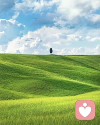 生活中的情绪如同暗流，不被看见，便可能积蓄成海。
焦虑、孤独、无力感，当这些情绪无法自行消解时，专业的“倾听”是第一步，也是至关重要的一步。