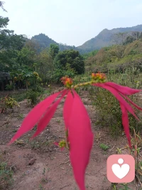 一条路通往绝望，一条路通往灭绝，希望我们有足够的智慧，能够做出正确的选择。