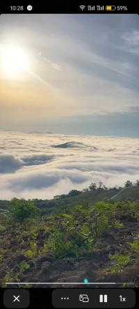 有时候，心灵就像一间拥挤的房间，需要打开窗户，让那些堆积的情绪随风倾诉而出，才能迎来新的阳光。