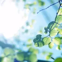 下楼收了份快递，是五月寄来的阳光配图