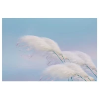 偶然翻到去年的照片，那时的自己和现在好像变了好多。时间真是神奇的魔法师，悄悄推着我们向前，却也留下一路星光～配图