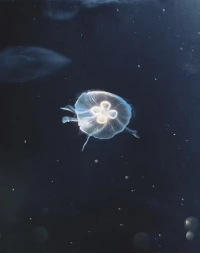 別總想著硬扛，允許自己有縫隙透透氣，反而更不容易被壓垮呀。配圖