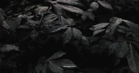 其实情绪从不会凭空消失，那些没被好好安放的感受，会悄悄藏在疲惫里、烦躁里，甚至身体的紧绷里。