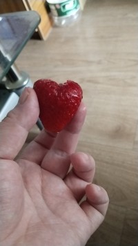 这不仅是一颗甜甜的草莓????，更是一颗爱我挚爱主儿的心❤️，真爱无敌！配图