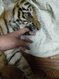 很多时候我们往往纠结痛苦于内心的过往，却往往忽视当下的乐趣和未来的欢乐。人生苦短，何不憧憬一下美好的未来，说不定一件值得我们吹一辈子牛逼的事就能无限激发我们乐享生活的信念呢！????配图
