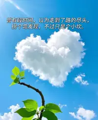 真正的自由是一种精神状态，其中没有恐惧或勉强，没有求取安全感的冲动。配图
