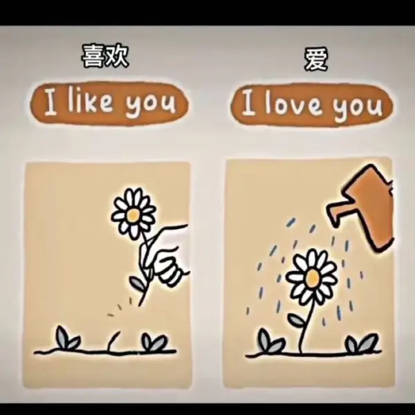 清柠萌
