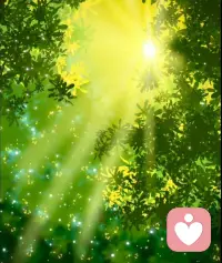 🫶我们看待事物的方式，决定着一切，而不是事物本身如何🫶