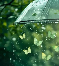 有风有雨是常态，风雨兼程是状态，风雨无阻是心态。配图