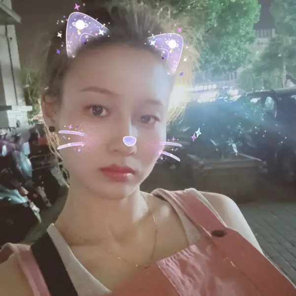 会飞的鱼