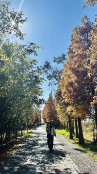  风很温柔，花很浪漫，你很特别，我很喜欢。在这善变的世界里，我想和你看一看永远。配图