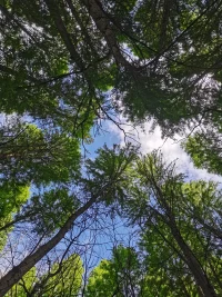 ?別讓過去的遺憾，絆住前行的腳步。每一次的跌倒，都是成長的契機。輕裝上陣，放下負擔(dān)，未來的美好正等你邂逅配圖