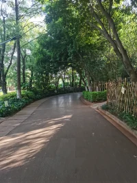 明天開始 我們一起晨跑吧配圖
