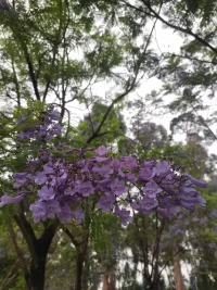 任何人離開你，都不是你的遺憾，而是他失去了一個珍貴的人。而你，不必為了那片不屬于你的水洼，讓自己陷入無盡的泥沼。配圖