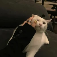 生活就像拆盲盒，你永远不知道下一秒会收获怎样的惊喜。保持热爱，把平凡的日子过成诗，把普通的生活酿成蜜。