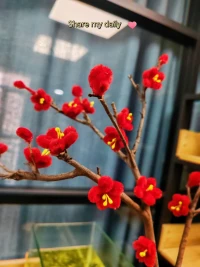 风会绕路，但不会停，像我们，慢慢走也能抵达。
允许自己像种子一样，有埋进土里沉默的时光。 
不必成为太阳，自己发光就好——哪怕是萤火虫的亮度。
路上的雨，最终会变成脚下的雾，轻轻托起向前的脚步。配图