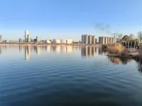 狮羊效应——比喻领导者的气质对团队的影响：“狮子”型领导以魄力激发斗志，带领团队攻坚克难；“绵羊”型领导则使团队懈怠，丧失竞争力。例如，企业面临危机时，果断决策的领导更易稳定军心，而优柔寡断者可能加速衰败。该效应强调领导风格对组织氛围的塑造作用。