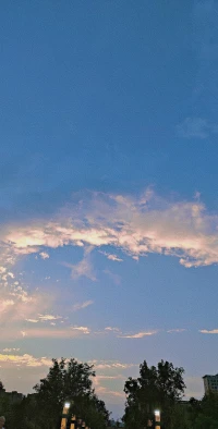 同體效應——也稱自己人效應，指個體將他人視為與自己同一類型的人，從而更容易接受其觀點和建議。原理基于人際相似律，即相似身份、愛好或背景的人關系更親密，吸引力更強。例如，在市場營銷中，品牌通過關聯特定文化或群體（如耐克與運動員形象結合），吸引認同該群體的消費者。配圖