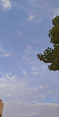 洼地效應——經濟學概念，指利用比較優勢創造理想環境，吸引外來資源向本地區匯聚，形成獨特競爭優勢。原理在于資本的趨利性，使資金向更具競爭優勢的領域流動。例如，深圳憑借政策優勢和地緣優勢，吸引了全球資金、技術和人才，快速發展成為國際大都市。配圖