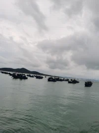 曾深陷泥潭，也曾追光而行。配圖
