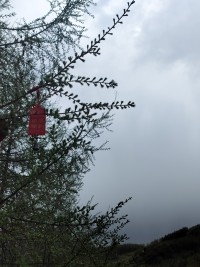 九份喜欢
一份尊严～