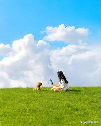 #暴力心理機制# 
暴力常源于情緒壓抑與習得行為。
心理學認為，失控的攻擊欲常與童年創傷、控制欲膨脹及挫折感累積有關。預防需重視情緒管理教育，建立良性社會支持系統，及時心理干預可打破暴力代際傳遞。配圖