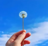 生活的節(jié)奏快與慢，取決于內(nèi)心的渴望
是否駐足觀望過沿路的風景呢配圖
