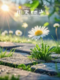 抑郁像悶濕的梅雨季
曬不干的衣服會發(fā)霉，咽下去的情緒也是。
別等陽光，我借你烘干機(jī)。
??晴雨由你，傘在我這。配圖