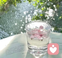 只需一個微笑，就可以說服自己繼續(xù)堅(jiān)持下去
早安配圖