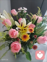 送給你，心情會好一整天嗎？配圖