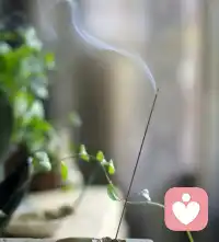 新的開始了，刪除煩惱，開啟快樂！加油????????????配圖