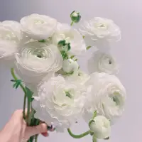 最美的人間四月天，周末愉快配圖