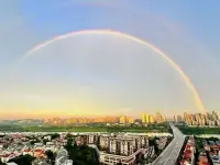 自由第一課
接受沒(méi)有人愛(ài)你
自由第二課
任何人愛(ài)都是負(fù)擔(dān)
自由第三課
愛(ài)上任何人都無(wú)法自由
自由第四課
釋?xiě)阉腥硕及察o的離開(kāi)
自由第五課
不對(duì)任何人抱有幻想配圖