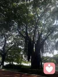 曬曬日光浴，向宇宙要一些能量配圖