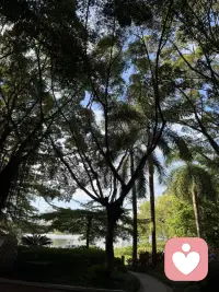 秋高气爽，今天上午户外办公了