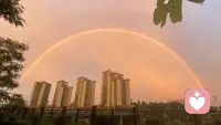 有一天当你尝尽了社会的无情，金钱的压力，爱人的不堪，人心的险恶，你终会明白，别人的屋檐再大不如自己有把伞。