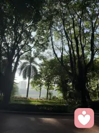 新的一天，從晨練開始配圖