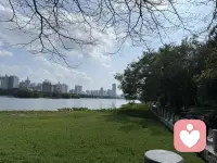 春光明媚的午后时光，湖边散散步配图