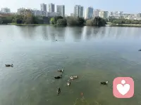 生活能渡的
是愿意自渡的人

每个熠熠生辉的微笑背后
都有默默努力的身影～