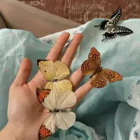 做自己而不是解释自己配图