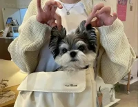 也许终有一天，我们会像从未相识般淡出彼此的生命。当一切尘埃落定，愿我们只记美好，不谈遗憾。配图