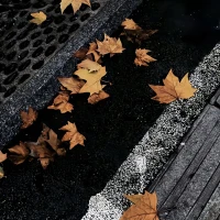故事的開頭總是溫柔，

結局未必圓滿，但至少，

我們曾真誠相待過。配圖