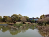 不因?yàn)槊悦o助而行動(dòng)，也不因?yàn)榭謶纸箲]而亂動(dòng)。人生確實(shí)是一場復(fù)雜難懂的游戲，卻也配得起勇氣，坦誠，承擔(dān)。
?需要在已有的游戲規(guī)則里，創(chuàng)造出屬于自身的道路和意義。配圖