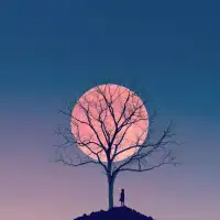 幸福，從沒捷徑，也沒有完美無瑕，心態不同，人生的境遇便會天差地別。生命的完整，在于寬恕、容忍、等待與愛，如果沒有這一切，你擁有了所有，也是虛無。配圖