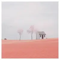 假話全不說  真話不全說配圖