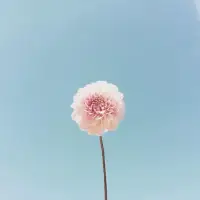 生活的模樣，完全取決于自己。熱愛生活的人，一定會(huì)被生活所熱愛。早安！配圖