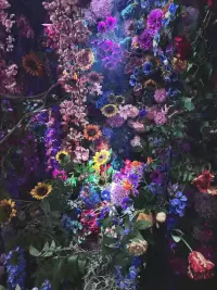 心理问题我帮你疏导，别的问题你还是要靠强大的自己！配图