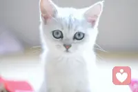 跟NPD相處最應(yīng)該注意的就是，不要掉進(jìn)自證陷阱。