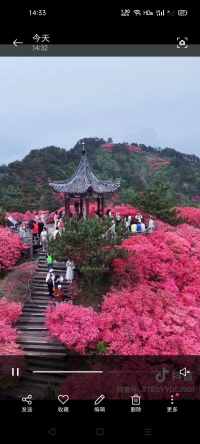 欢迎到我的家乡来看杜娟花，正是季节时，等你哦，全程陪导????配图
